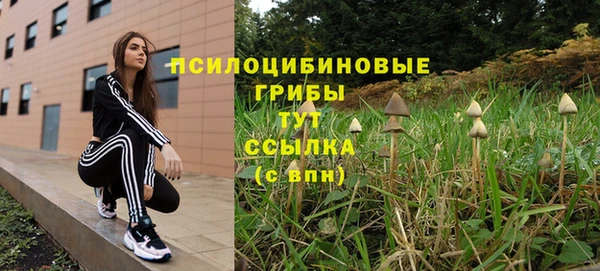 mix Богородск