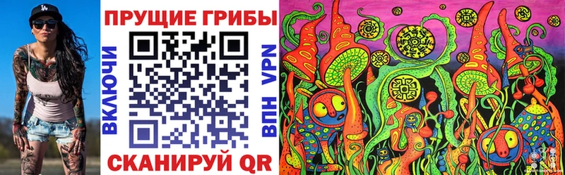 Купить закладки  Княгинино  Псилоцибиновые грибы GOLDEN TEACHER 